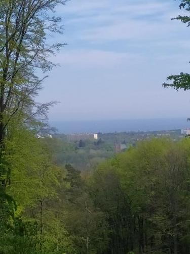 Widok ze Wzgórza Szwabego na Katedrę Oliwską