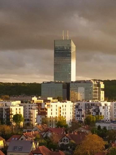 Widok na Oliva Center